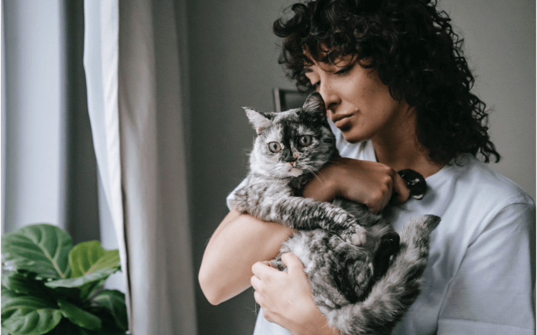5 Ways to Celebrate National Cat Lovers Month