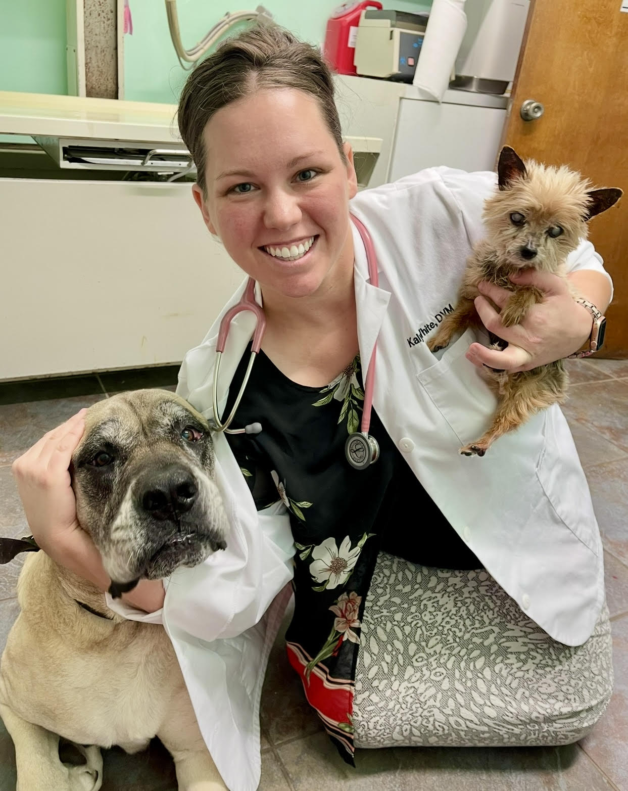 Dr. Kalyn M. White